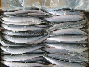<span class=keywords><strong>Saury</strong></span> du Pacifique surgelé, frais et de première qualité, nouvelle arrivée - Product Image 3
