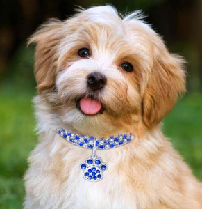 <span class=keywords><strong>Collar</strong></span> Elástico de Lujo con Diamantes de Imitación para Mascotas, Joyería para Perros, <span class=keywords><strong>Collar</strong></span> para Gatos, Accesorios para Mascotas - Product Image 2