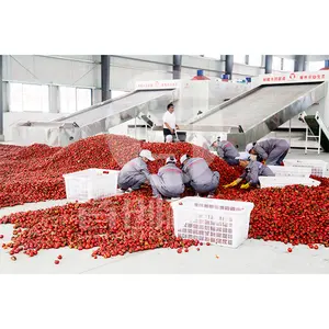 Macchina per asciugare il peperoncino con rete di frutta e verdura ad alta efficienza