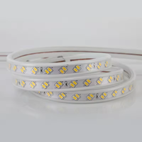 Bande lumineuse LED étanche IP68 à double rangée 5730, 100 mètres, haute luminosité, 110 V/220 V