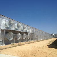 Gallinero Prefabricado de Acero Galvanizado con Diseño de Casa de Campo, Bien Ventilado, para Gallinas Ponedoras