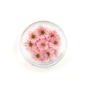 Cadeau de <span class=keywords><strong>saint</strong></span>-<span class=keywords><strong>valentin</strong></span> <span class=keywords><strong>2023</strong></span>, haute qualité, diverses combinaisons de paquets, fleurs séchées et pressées naturelles pour le matériel manuel - Product Image 5