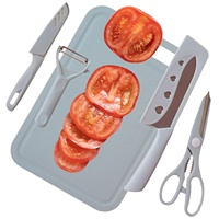 Ensemble de couteaux de cuisine en acier inoxydable 5 pièces avec planche à découper gadgets d'éplucheurs de fruits et légumes pour un usage domestique