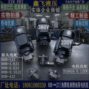 Unidad de Motor de Bomba de Engranajes Cicloides RHB 380V 220V 0.12KW de Hierro Fundido para Lubricación de Máquinas Herramienta - Product Image 2