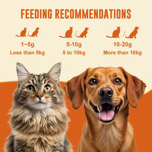 Mezcla de Salmón Liofilizado de Grado Humano en Bolsa de 100g, Directo de Fábrica, Sin Aditivos para Perros y Gatos, Compatible con OEM y ODM - Product Image 4