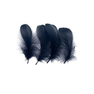Plumes d'oie Erica 48cm 711cm 913cm Blanc Noir Artisanat Bijoux Vêtements Accessoires - Product Image 5