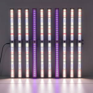 แท่นขุดเจาะแสงสำหรับปลูก LM301H EVO แบบสองช่อง800วัตต์ IP65ปรับได้120ลำแสง ° มุม3.0 μmol/<span class=keywords><strong>J</strong></span> PPE เพิ่มประสิทธิภาพให้เหมาะสมที่สุดสำหรับพืชเรือนกระจก - Product Image 2