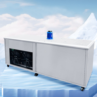Machine à fabriquer des blocs de glace à haute efficacité, machine à fabriquer des briques de glace commerciale et industrielle