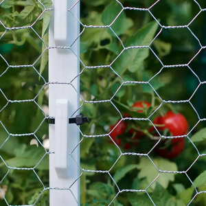 <strong>Chicken</strong> <strong>Hexagonal</strong> Galvanized Wire <strong>Mesh</strong> Fencing <strong>Netting</strong> Cutting Welding for Gardening Protection Plants Vegetables Flowers Fruits - Product Image 3