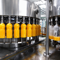 Ligne de production complète de machine à jus entièrement automatique Ligne de production de jus de fruits