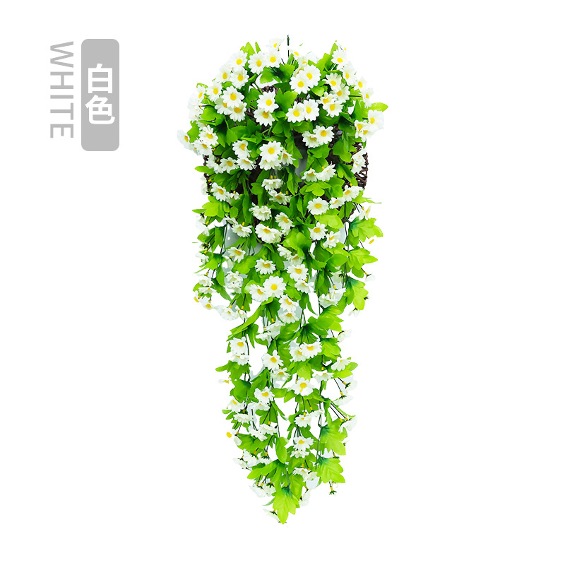 Chrysanthème blanc