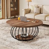 Table basse ronde moderne avec structure métallique durable et étagère de rangement en bois massif, table d'appoint écologique pour salon