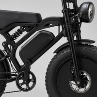 Vélo électrique tout-terrain robuste pour adultes avec pneus larges et batterie amovible, idéal pour la conduite hors route, OEM ODM disponible