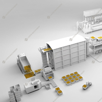 20 ~ 2000 Ton Per Dag Food Grade Industriële Complete Volautomatische Verwerkingslijn Verse Sinaasappel Citrusvruchten Vruchtensap