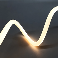Lustres Lumière 360 Degrés Éclairage LED Néon Flex Corde Lumière IP67 24V 18mm 3000K Pliable Étanche pour Plafond Décor Lumière
