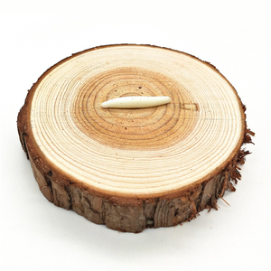 Vente chaude insecte modèle blague jouet pour enfants doux élastique réalité ver blague pour garçons et filles en PVC - Product Image 1