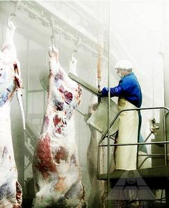 Canal máquina <span class=keywords><strong>de</strong></span> división media canal <span class=keywords><strong>de</strong></span> corte <span class=keywords><strong>de</strong></span> vaca <span class=keywords><strong>matadero</strong></span> <span class=keywords><strong>para</strong></span> la <span class=keywords><strong>venta</strong></span> - Product Image 6