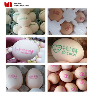 Nieuwe volautomatische Android-gestuurde touchscreen inkjetprinter met 6 printkoppen en 600 DPI resolutie voor eiercodering - Product Image 5