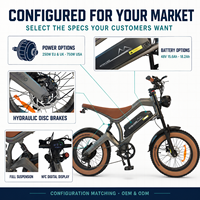 Toptan 250W 48V 15.6Ah Büyük Tekerlekli Şişman Lastikli Dağ EV ET Arazi Şehir E Elektrikli Arazi Bisikleti Bisiklet Fatbike Bisiklet