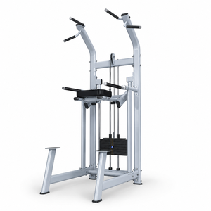 Machine de dips et tractions assistée commerciale avec coussin en mousse haute densité, équipement de fitness pour salle de sport, vente en gros usine - Product Image 1