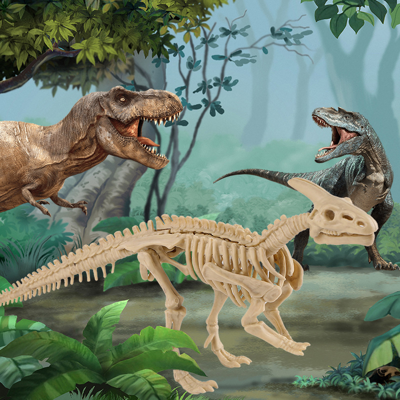 Squelette de Parasaurolophus + manuel