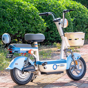 Bicicletta Elettrica Compatta da 26 Pollici, Batteria al Litio 48V20H, Telaio in Lega di Alluminio, Freno a Disco - Product Image 1