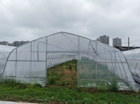 Serre tunnel commerciale à grande travée unique en acier galvanisé avec ombrage automatique et irrigation hydroponique