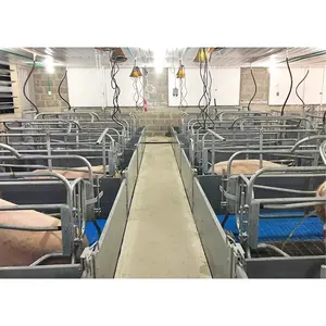 Pig Farm Special Pig Farrowing Pen Cages Hot Dip Galvanized Pig Cow Crate/Stall