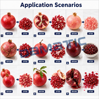 Automatische granaatappel schil- en schilafschilmachine voor sapfabriek, restaurant, fruit- en passievruidenproductielijn