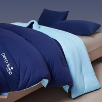 Couette Deep Sleep Planet Winter Simple en coton tricoté écologique à température contrôlée avec noyau Pro Quilt