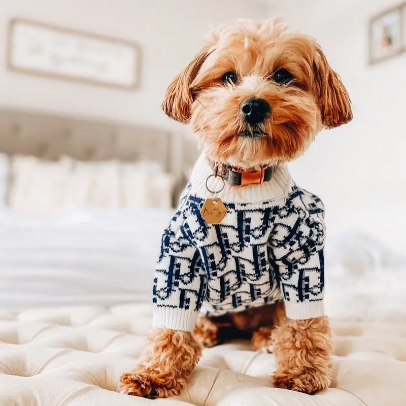 2021 Luxury Brand Fashionable Spring And Summer Pet Sweater