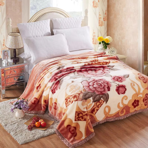 Hot bán nhà máy Hàn Quốc chăn 2 ply 3kg 6kg 10 kg thoải mái đẳng cấp thế giới 6kg siêu mềm raschel chăn cho mùa đông - Product Image 6