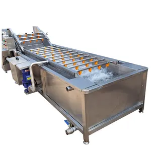 Bubble Fruit Avocado Mango Vegetable Potato Washing Frozen Vegetable LineMango Potato cleaning machine production line