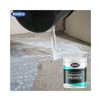 Primaire transparent pénétrant pour murs intérieurs et extérieurs, scellant anti-alcalin, couche de base pour la rénovation des bâtiments, anti-efflorescence