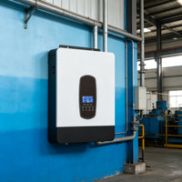 Onduleur solaire hybride 3KW à succès avec surveillance à distance Wi-Fi et BMS pour batterie au lithium
