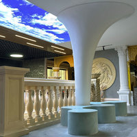 Fournisseur de colonnes en FRP de forme spéciale pour la décoration artistique dans les bureaux