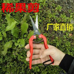 Tijeras de Podar para Jardinería, Tijeras para Podar Árboles Frutales, Herramientas de Podar de Alta Calidad para Dar Forma - Product Image 5