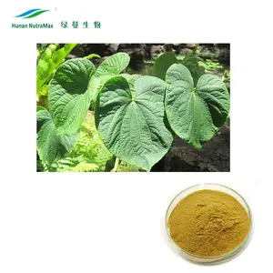 Pure Piper Methysticum Extract Kava extract30% 40% 70% Kavalactones