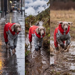 Chaqueta Impermeable para Perro Superio, Ligera, con Forro Suave, Táctica, Funcional, para Actividades al Aire Libre bajo la Lluvia - Product Image 6
