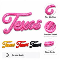 En stock : Patch Game Day Texas, badge brodé textuel à paillettes mélangées, étiquette à bordure scintillante pour vestes en jean personnalisées, en gros