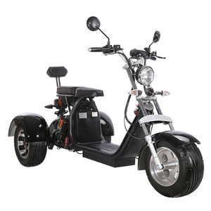 Scooter de Movilidad de Tres Ruedas con Carrocería Abierta 2026, 1500W, 2 Plazas, Mini Vehículo, 30-50 km/h, Autonomía de 50-70 km - Product Image 3