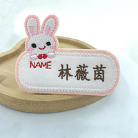 Écusson brodé personnalisé en toile écologique tissée pour vêtements de bébé, chapeaux, étiquettes nominatives, motifs cœur/fleur/dentelle, thermocollant, couleurs et logo personnalisés