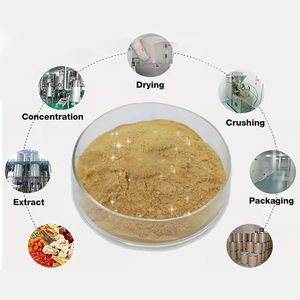 Extracto de Mosla 50 1, antiviral natural OEM y ODM al por mayor para el apoyo inmunológico y el alivio de la gripe fría, extracto de hierba en polvo, suministro de fábrica - Product Image 5