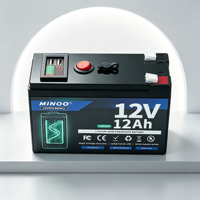 Batterie solaire rechargeable LiFePO4 12V avec BMS intégré, cycle profond, 153,6 Wh, 6000 cycles, camping