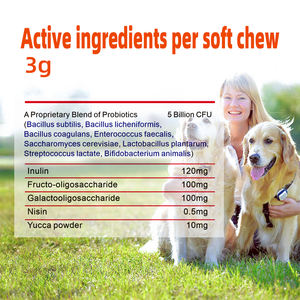 Suplemento Masticable Probiótico Personalizado para Perros y Gatos, Salud Digestiva, Apoyo Inmunológico, Enzimas, Multivitaminas, Calcio, Seguro y Rápido - Product Image 2