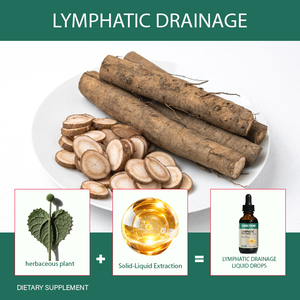 Suplemento Herbal Líquido Dhops para Drenagem Linfática, Extrato de Raiz de Bardana, Gotas Líquidas Orais para Suporte Imunológico e Saúde Intestinal em Adultos - Product Image 4