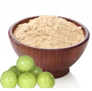 ผง Amla จากอินเดียบริสุทธิ์100% ผง Amla ผลไม้อบแห้ง Amla จากอินเดีย - Product Image 4