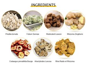 脂肪燃焼および毒素除去のためのOEMサプライヤー天然ハーブエキススリミングボディパッチ安全 - Product Image 5