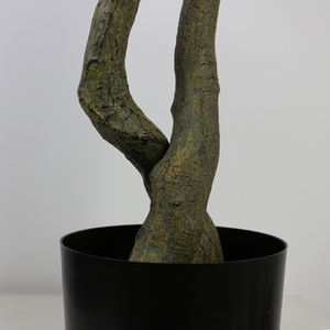 Producto en Oferta 2023: Olivo Artificial para Decoración de Jardín - Product Image 6