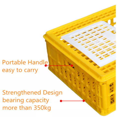 Agrieso Live Chicken Crates Broiler Chicken